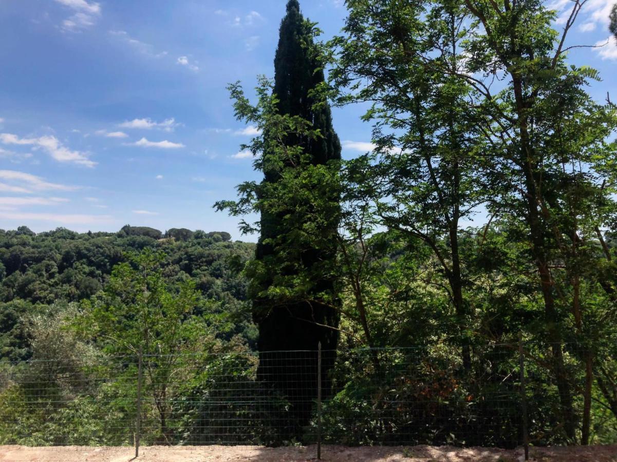La Casa All'Oliveto Pitigliano Exterior photo